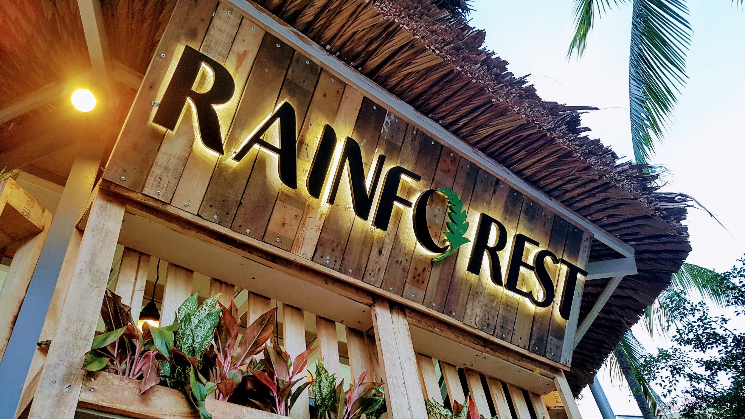 Rainforest Nha Trang - Cafe đẳng cấp, kiến tạo không gian xanh hoàn hảo